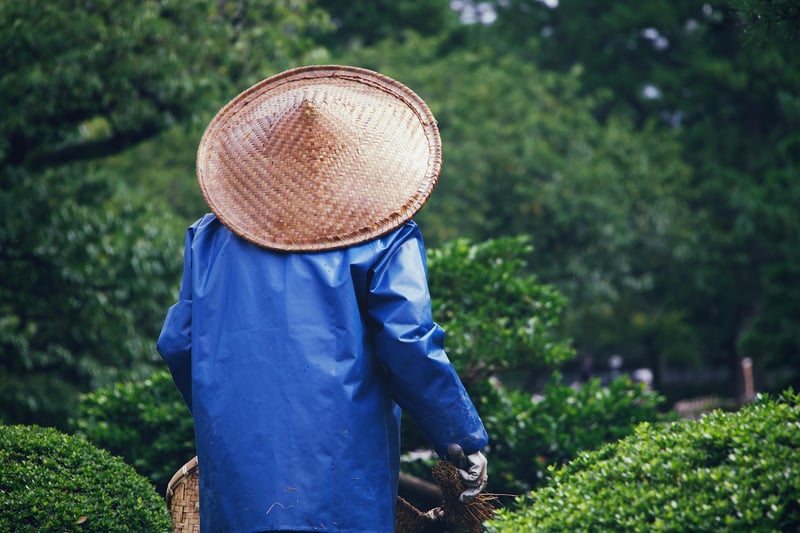 Community Gardening